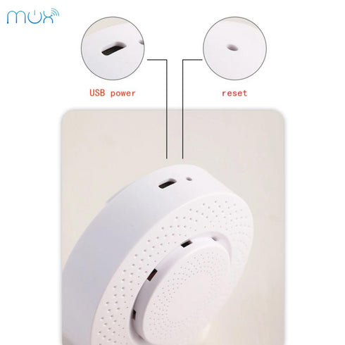 Smart Air Detector
